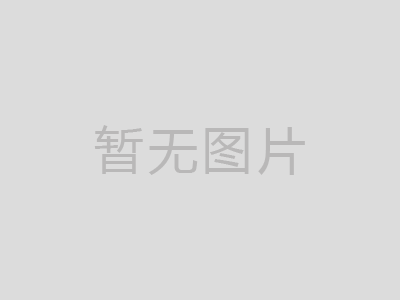 皮帶輸送機(jī)